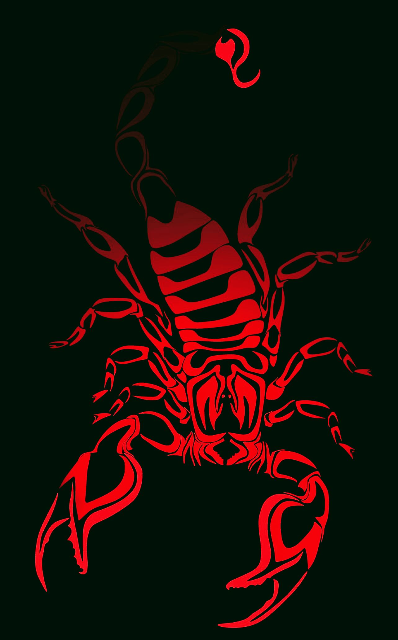 scorpion at ChatLanka
