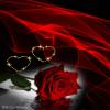 red rose 2 hearts