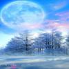 moon view in snowy foerest
