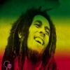 Bob marley with laugh in 3 colour background