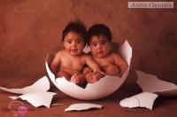 babies in an egg