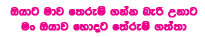 .oyata.