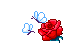 .redrose.