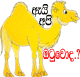 .otuwoda.
