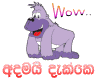 .adamaidakke.