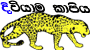 .diwiyama.