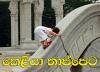 .keliya.