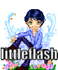 .littleflash.