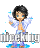 .niceking.