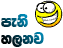 .pani.