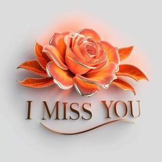 Ani_baby at ChatLanka