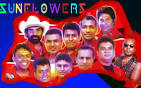 Sunflowers photo