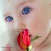 baby with a red rose