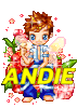 .andie.