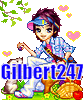 .gilbert247.