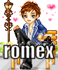 .romex.