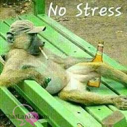 cajethan at ChatLanka