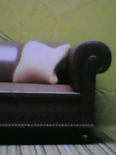 rich_jah001 at ChatLanka