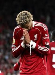 fermin_lopez at ChatLanka